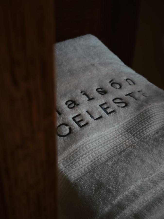 Maison Celeste Città del Messico Esterno foto